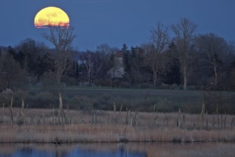 A full moon appears over a misty highland with visible trees on the horizon, view into the Randow