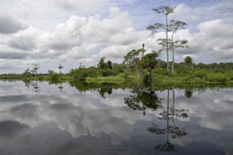 Waterscape on the Akaka River, Loango National Park, Parc National de Loango, Ogooué-Maritime