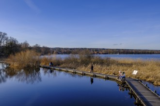 Plank path to the observation tower, high water in Dießen am Lake Ammer, Diessen, Fünfseenland,