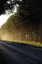 Summer heat in the city, July, Germany, Europe