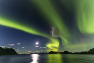 Northern Lights, (Aurora borealis) at a fjord near Skjiervoya, September 2024, Lapland, Finnmark,