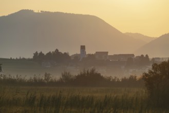 Sunrise, reed belt at Lake Hopfensee, near Füssen, Ostallgäu, Allgäu, Upper Swabia, Swabia,