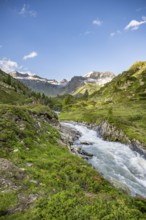 Mountain landscape with mountain stream Zemmbach, behind mountain peak Kleiner Mörcher, Berliner