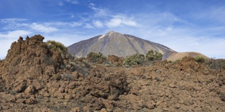 El Teide National Park, behind it the Pico del Teide, 3715m, World Heritage Site, Tenerife, Canary