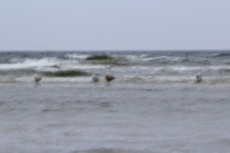 Baltic Sea near Usedom in September, long exposure, Mecklenburg-Western Pomerania, Germany, Europe