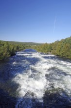 Rapids in the river, surrounded by a dense forest, blue sky, Glomma, Röros, Tröndelag, Norway,