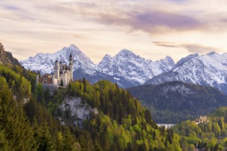 Neuschwanstein Castle near Füssen, Hohenschwangau Castle, evening mood, Schwangau, Allgäu Alps,