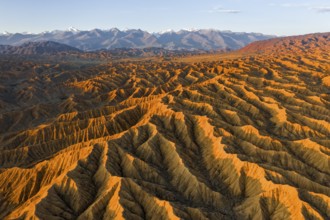 Landscape of eroded hills, badlands at sunset, mountain peaks of the Tian Shan Mountains in the