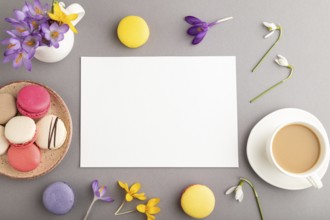 White paper sheet mockup with spring snowdrop crocus flowers and multicolored macaroons on gray