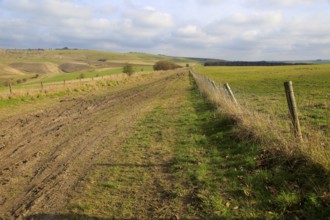 Roman road chalk landscape, near Baltic Farm, Bishops Cannings, Wiltshire, England, UK