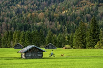 Green meadow with log cabins, wooden hay huts, cyclist, man on bicycle walking dog, forest,