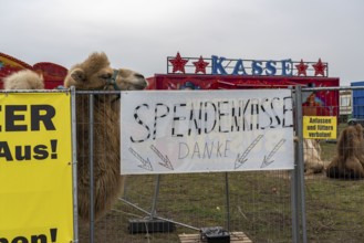 Circus Paul bush, shut down during the second corona lockdown, in Oberhausen, with posters pointing