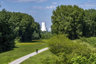 Rhine meadows near Duisburg-Beeckerwerth, footpath, cycle path on the Rhine dyke, view of the STEAG