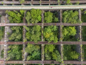 Duisburg-Nord Landscape Park, former Thyssen steelworks, closed in 1985, since then trees have been