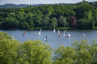 Sailing boats on Lake Baldeney in Essen, North Rhine-Westphalia, Germany, Europe