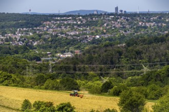 The skyline of Essen, skyscrapers in the city centre, view to the west, over the district