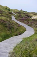 Lighthouse in the dunes, Amrum, North Frisian Islands, Schleswig-Holstein, Germany, Europe