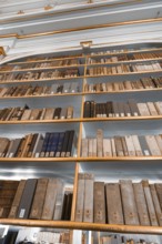 Bottom-up perspective of a tall bookshelf filled with old books, Weimar, Germany, Europe