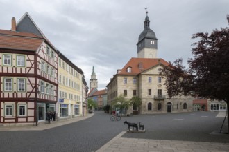 Bad Langensalza, historic old town, goat sculptures in front of the town hall, Thuringia, Germany,