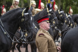 Military, Trooping the colour, Military parade in June in honour of the British monarch's birthday,