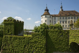 Langenburg Castle, Langenburg, on the Jagst, near Schwäbisch Hall, Baden-Württemberg, Germany,