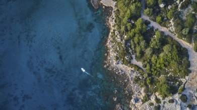 Drone shot, Clear blue water along a coast with dense vegetation, a small boat, Anthony Quinn Bay,