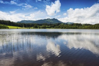 Attlesee, near Nesselwang, Oberallgäu, Allgäu, Swabia, Bavaria, Germany, Europe