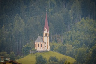 A church with a high tower stands on a green hill in front of a dense forest, Mayrhofen, Zillertal,