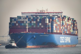 Harbour tug brings the container freighter Cosco Shipping Leo to its berth at Hutchison Ports ECT