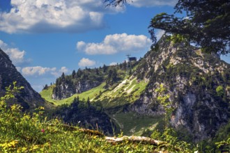 Mountain landscape in the Alps with fir trees and the Hochfelln cable car under a blue sky with