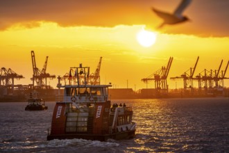 Port of Hamburg, view of the Blohm + Voss shipyard, evening, cranes of the container terminals,