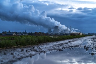 Field path, lignite-fired power station, RWE Power AG Niederaußem power station, near Bergheim,