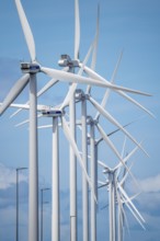 Wind farm on the Nordzeeweg, on a long spit of land between the Maas and the Calandkanaal in the