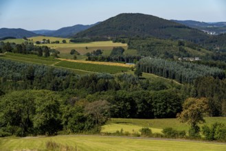 Sauerland, landscape near Oberkirchen, belongs to the town of Schmallenberg, Hochsauerlandkreis,