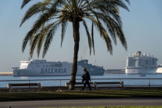 Waterfront promenade, ferries and cruise ship in the bay of Palma de Majorca, Spain, Europe