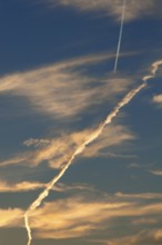 Evening sky with cirrus clouds (Cirrus) and streaks of condensation, Bayer, Germany, Europe