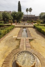 A garden with a small fountain and a stream, surrounded by cypresses, Jerez