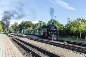 Steam locomotive on tracks, travelling through a green landscape under a blue sky, Rügen, Rasender