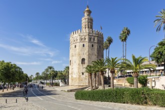 Historic tower with palm trees and people on a walkway in bright sunshine, Seville