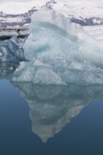 Icebergs on the Joekulsarlon glacial lake or lagoon