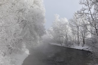 Lake Kochelsee in Bavaria, Germany. River Loisach leaving the lake. Winter, hoar frosted trees