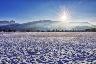 Snowy winter landscape in the morning sunshine with mountain views, Bad Feilnbach