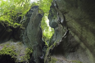 Seisenbergklamm gorge, natural monument, Pinzgau, Salzburger Land, Austria, Europe