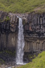 Svartifoss waterfall, Vatnajökull National Park, SE Iceland