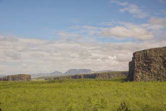 Asbyrgi is a glacial canyon in the Vatnajökull-Nationalpark, N Iceland. Birch trees can grow here