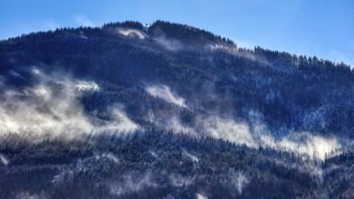 Misty mountains with snow and dense forests under a blue sky, Bad Feilnbach