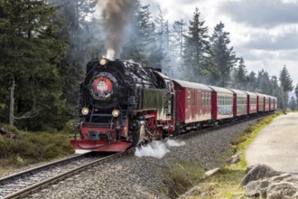 Steam locomotive with red wagons runs on railway tracks through the forest, Harz Mountains,