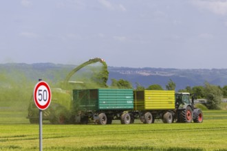 A Claas Jaguar 940 forage harvester at Grasmad in a field near Bannewitz, Bannewitz, Saxony,