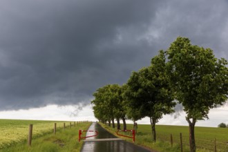 Heavy rain showers and thunderstorms over Possendorf in the Eastern Ore Mountains, Possendorf,