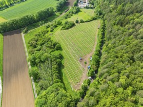 Aerial view of a constructed solar park in green surroundings, surrounded by fields and dense